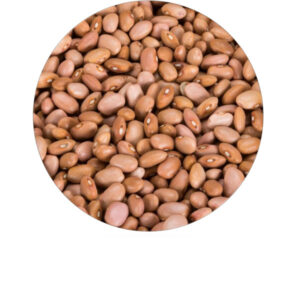 Haricots roses 25 kg Legumor