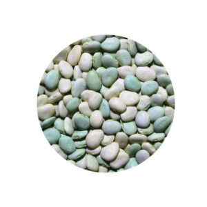 Haricot vert Lima 25 kg Legumor