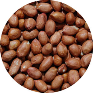 Arachides crues décortiquées 35/40 25 kg Profruit