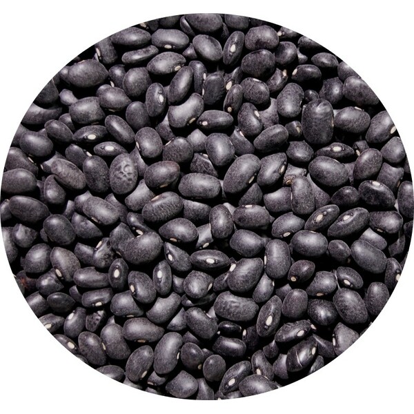 Haricots noirs type coco 25 kg Legumor